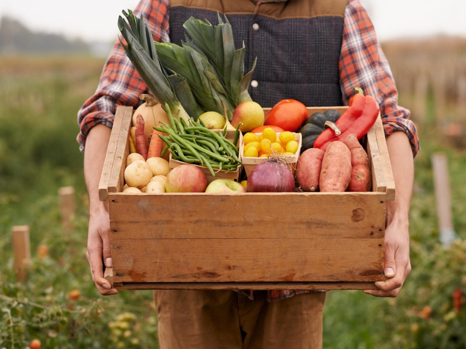Fresh local farm to table produce St. Joseph Michigan summer